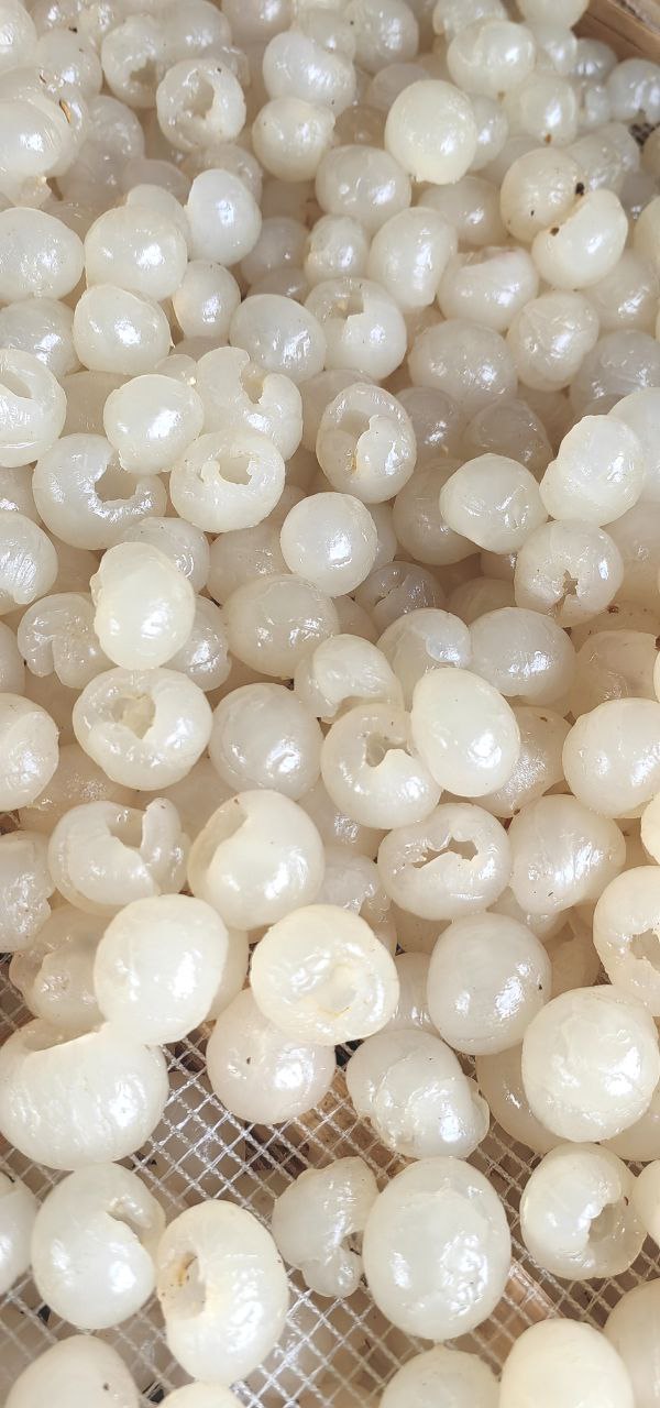 Fresh Longan Meat