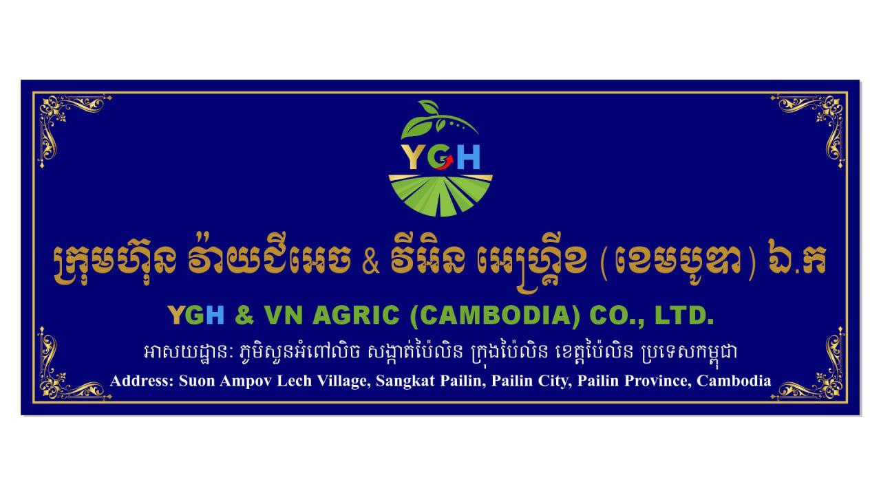 Company Banner